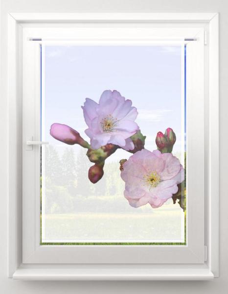 Scheibenhänger Die Blüte – rechteckig Gardine mit Druck